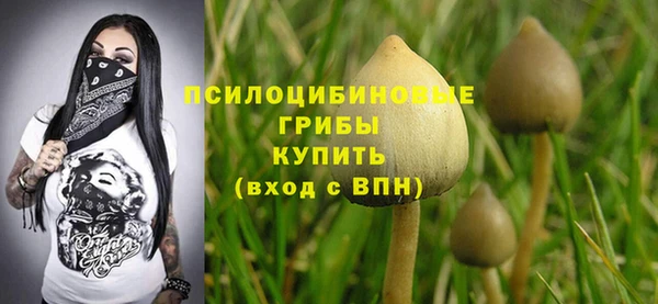 прущая мука Белокуриха