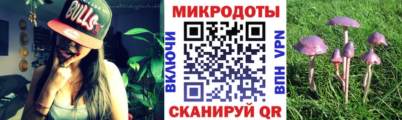 Псилоцибиновые грибы Cubensis  Красково 